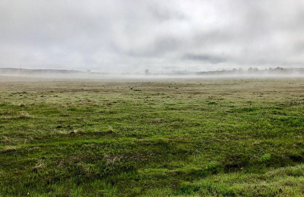 tule fog field central coast california