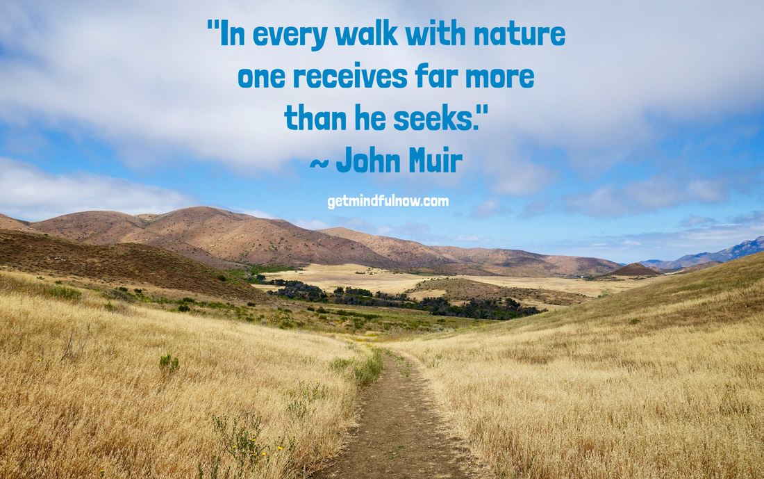 John Muir in ever walk with nature one receives far more than he seeks