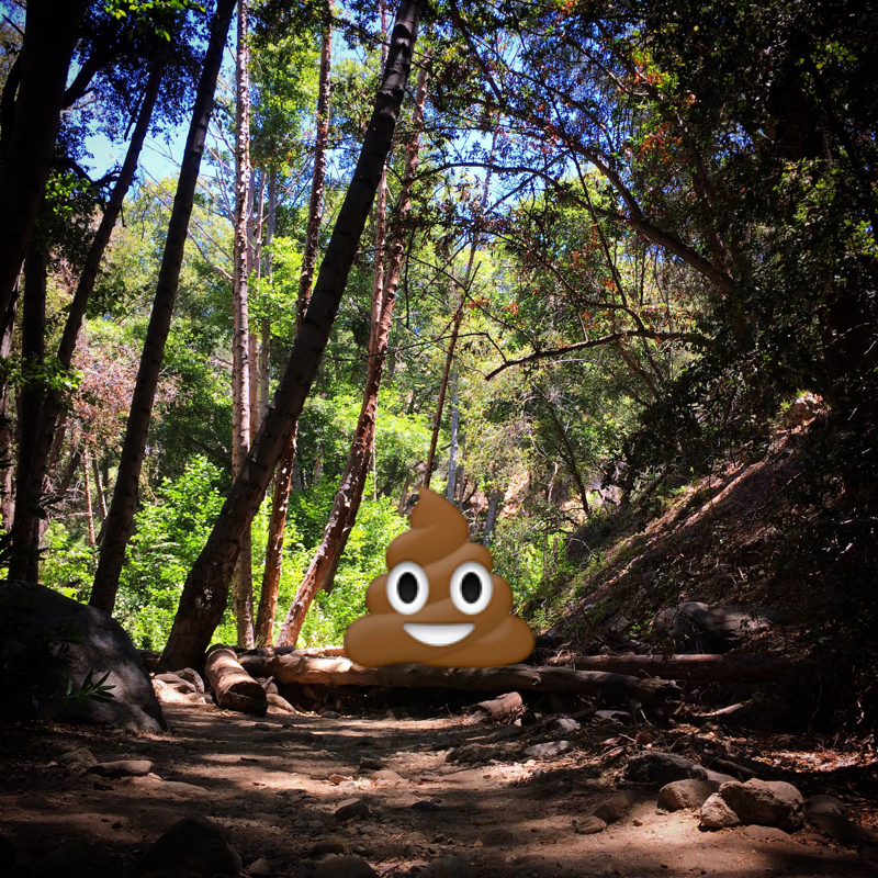 the beauty and the shit mindfulness emoji nature poo poop