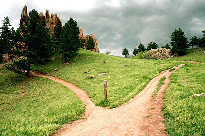 decisions mindfulness now two trails fork in the road