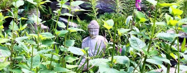 buddha garden zen