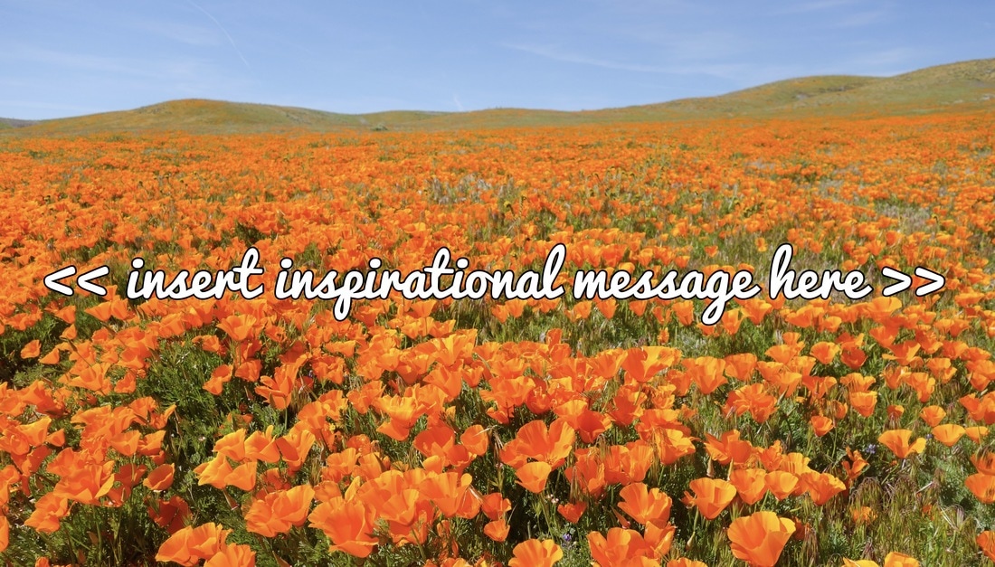 insert inspirational message here california poppy field mindfulness