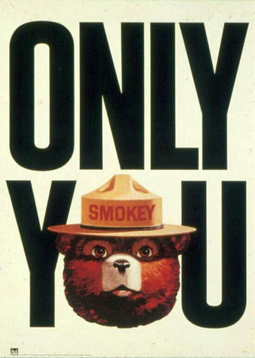 smokey bear only you can prevent wildfires